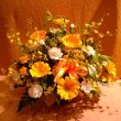 栃木県宇都宮市岡田園芸の花　”華やかな”イエロー